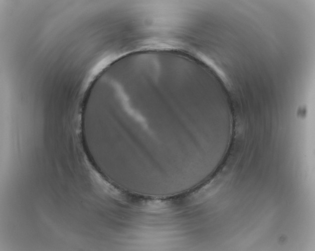 X0000090771459200708172058
