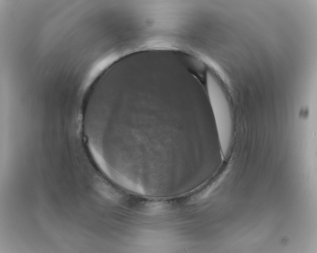 X0000090771461200708172058