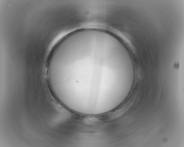 X0000090771462200708172058
