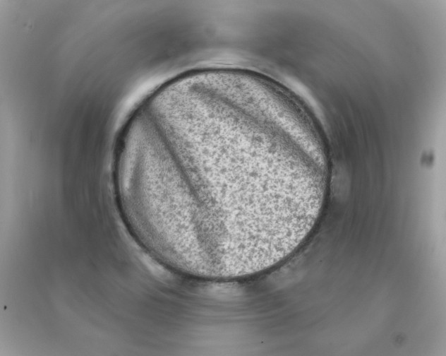 X0000090771464200708172058