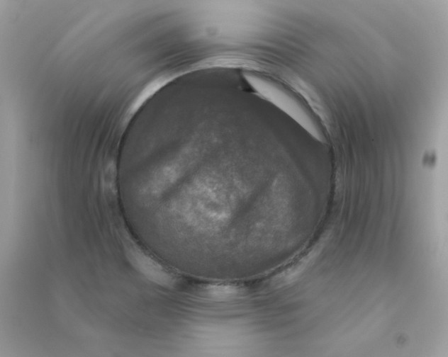 X0000090771465200708172058