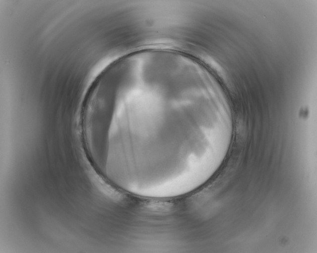 X0000090771466200708172058