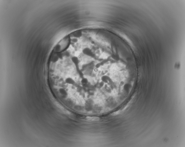 X0000090771467200708172058