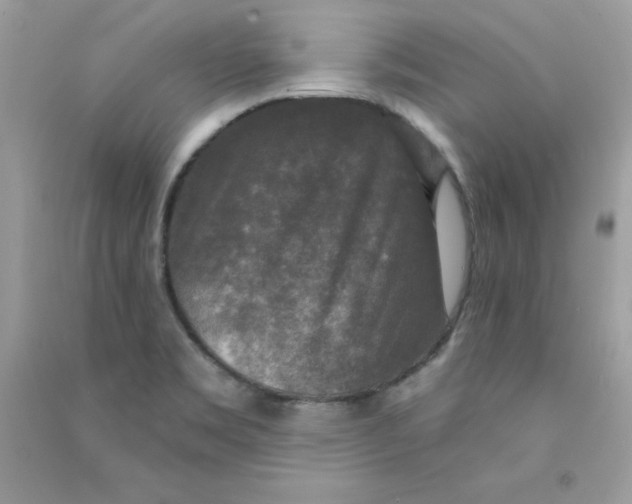 X0000090771469200708172058
