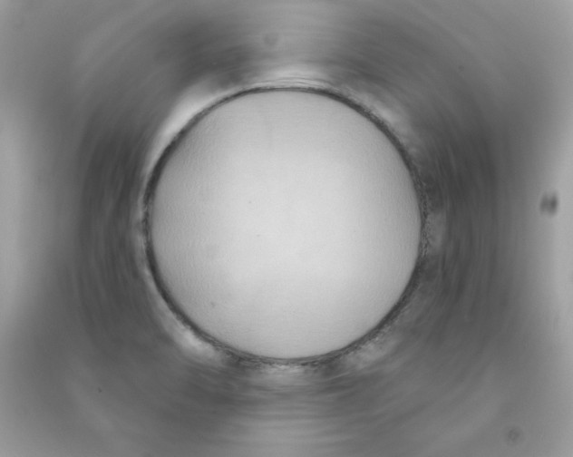 X0000090771470200708172058