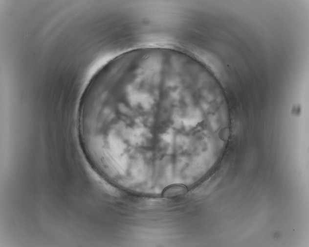 X0000090771471200708172058