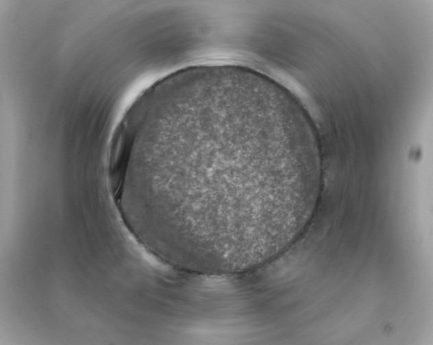 X0000090771472200708172058