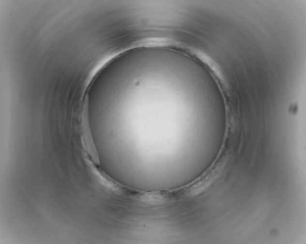 X0000090771473200708172058