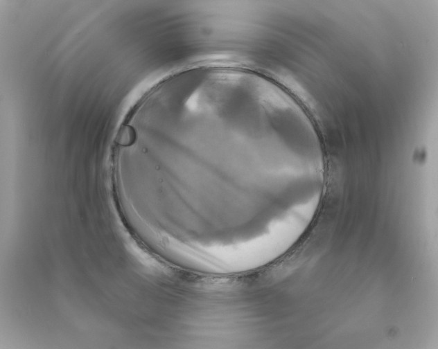 X0000090771474200708172058