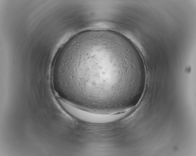X0000090771477200708172058