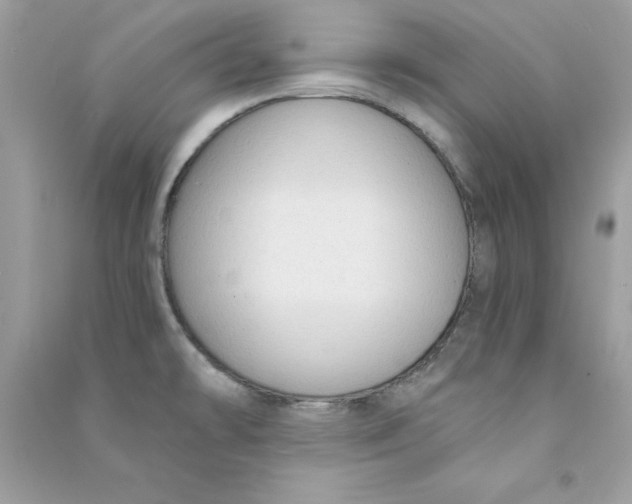 X0000090771478200708172058