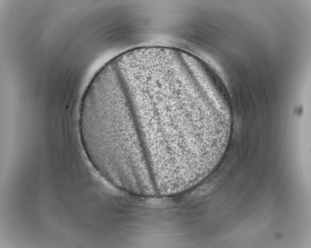 X0000090771480200708172058
