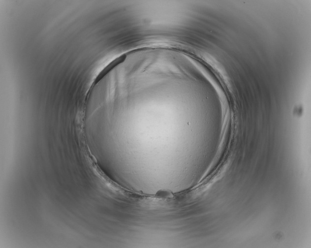 X0000090771481200708172058