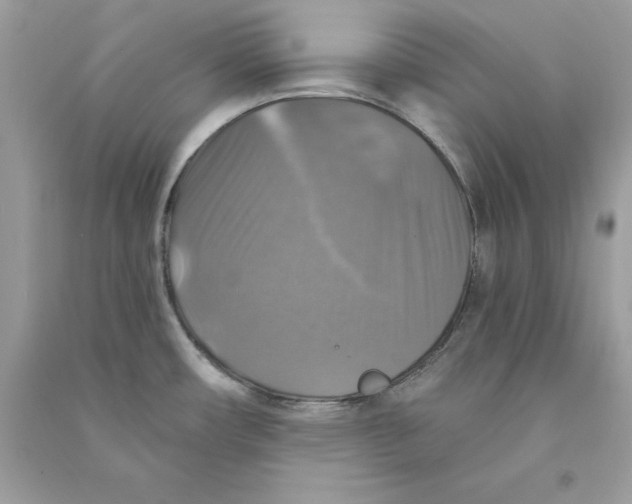 X0000090771482200708172058