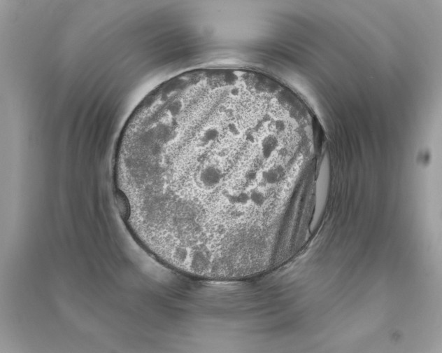 X0000090771483200708172058