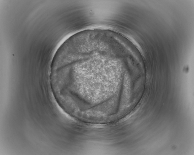 X0000090771484200708172058