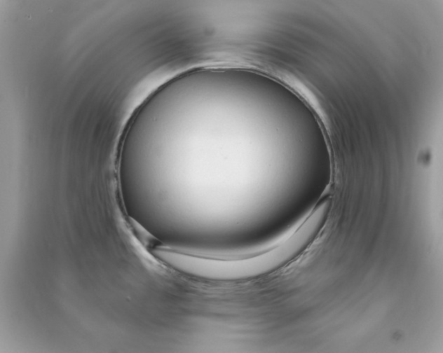X0000090771485200708172058