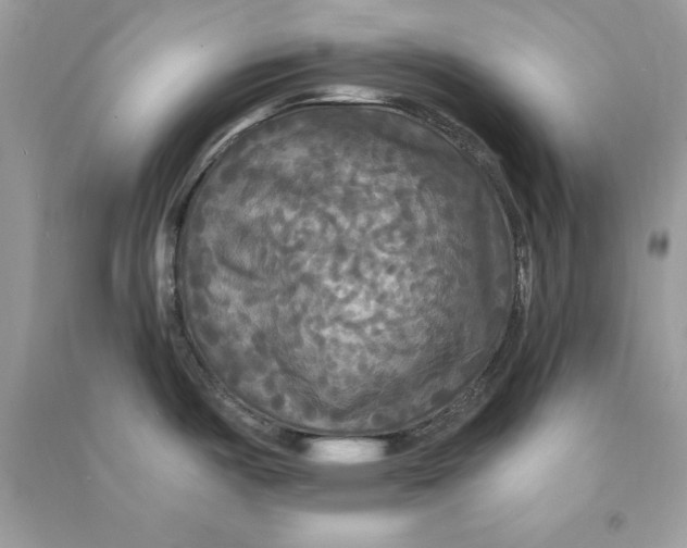 X0000090771487200708172058