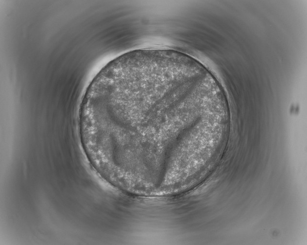 X0000090771488200708172058