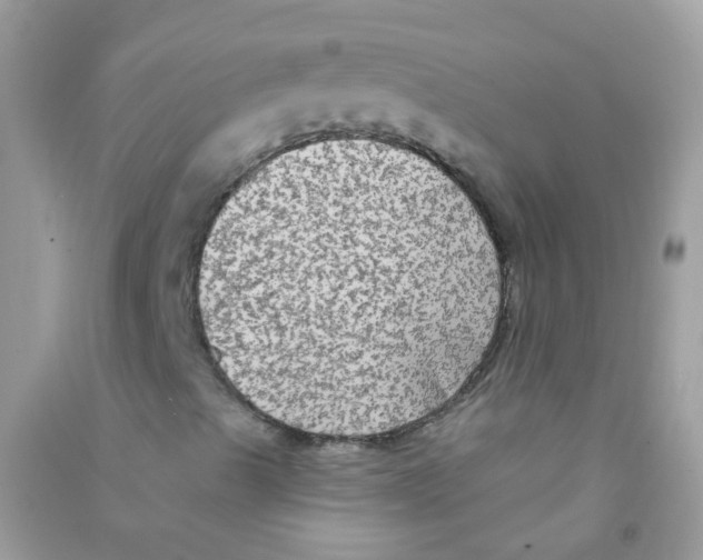 X0000090771489200708172057