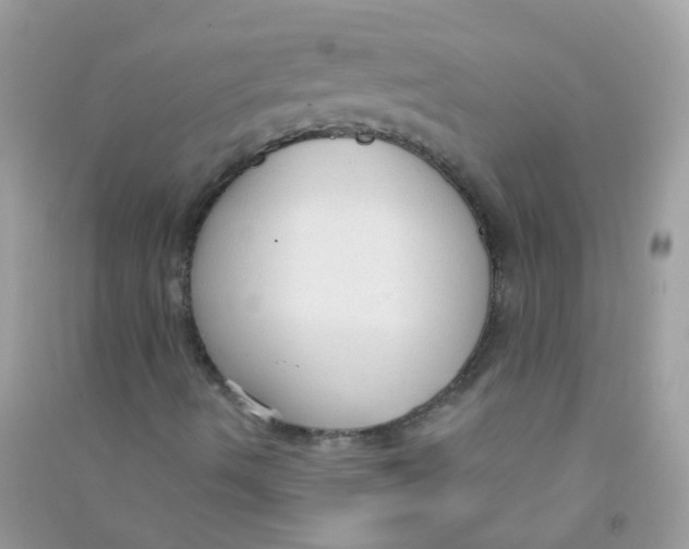 X0000090771490200708172057