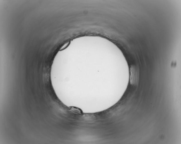 X0000090771491200708172057