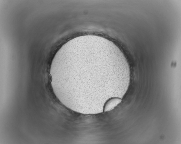 X0000090771493200708172057