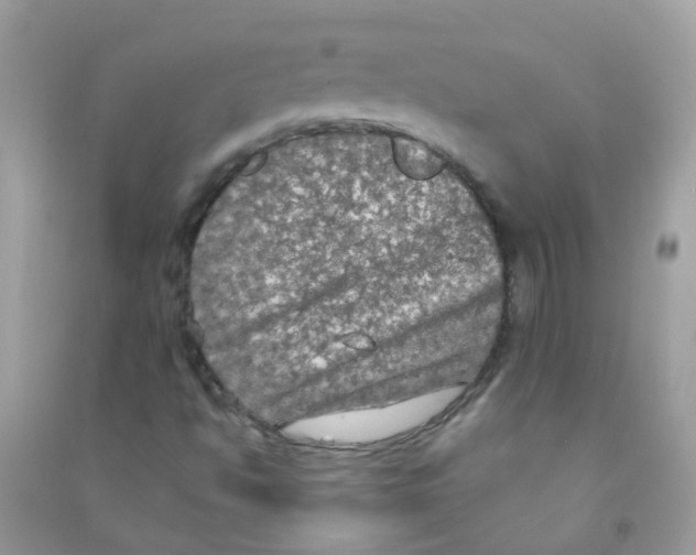 X0000090771494200708172057
