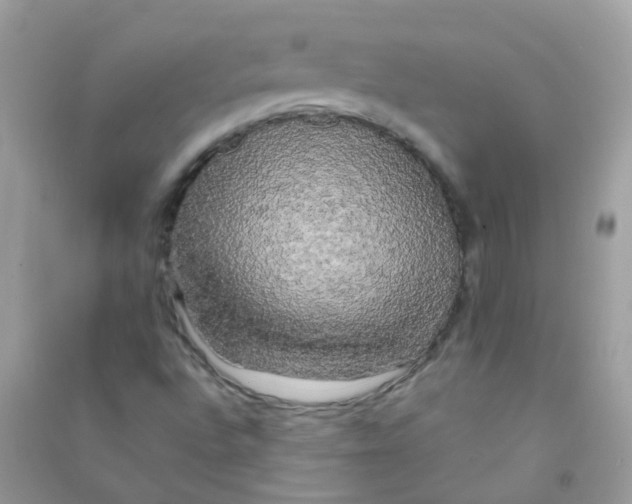 X0000090771496200708172057