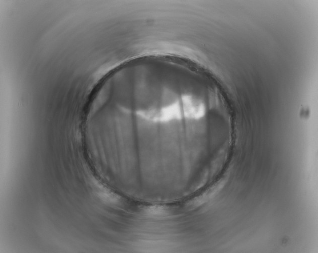 X0000090771497200708172057