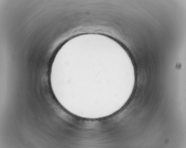 X0000090771498200708172057