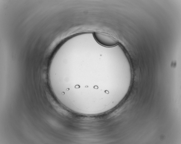 X0000090771499200708172057