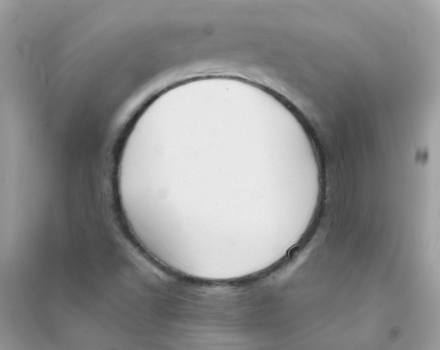 X0000090771502200708172057