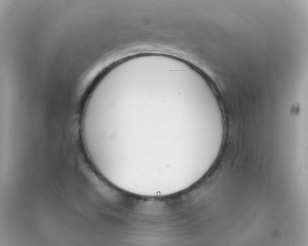 X0000090771503200708172057