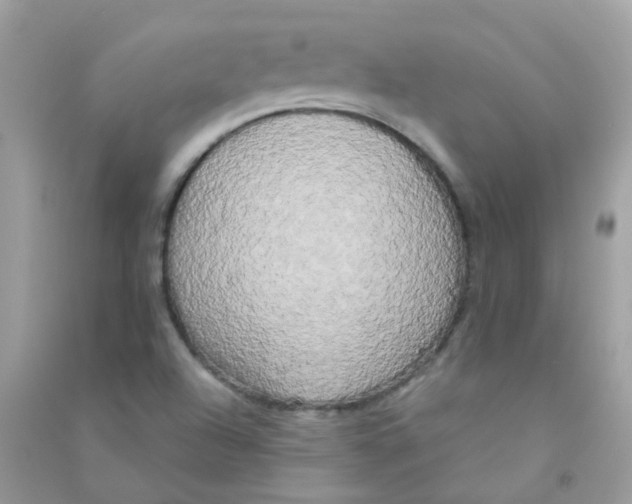 X0000090771504200708172057