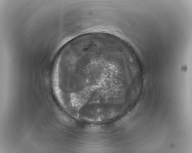 X0000090771505200708172057