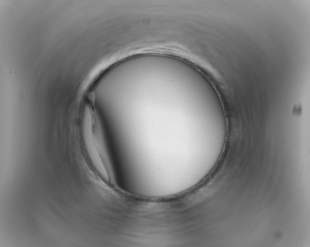 X0000090771506200708172057