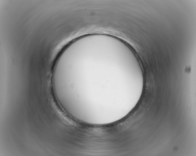 X0000090771507200708172057