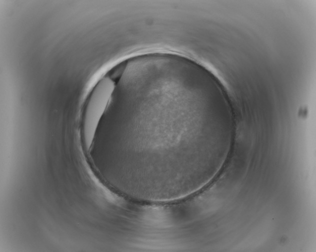 X0000090771508200708172057