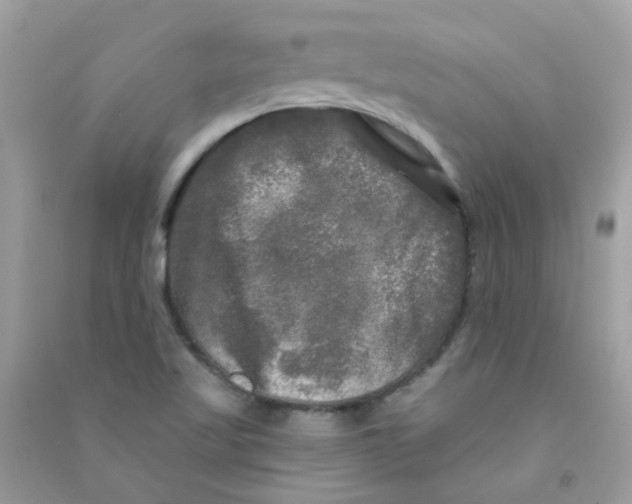 X0000090771509200708172057