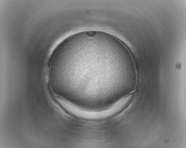 X0000090771510200708172057