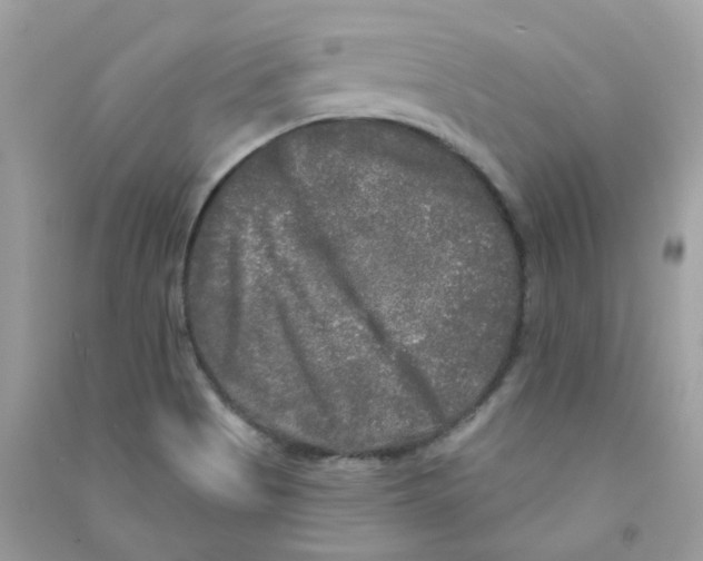 X0000090771513200708172057