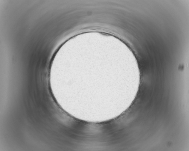 X0000090771514200708172057