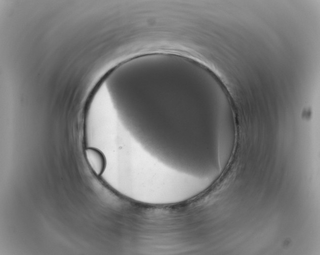 X0000090771515200708172057