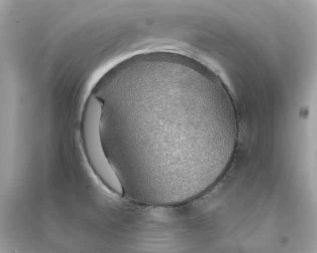 X0000090771520200708172057