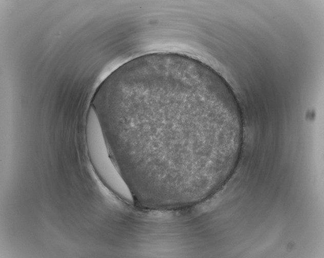 X0000090771521200708172057