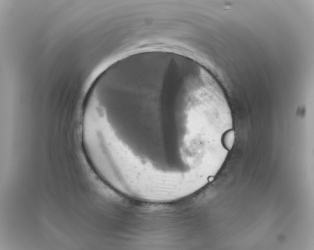 X0000090771522200708172057