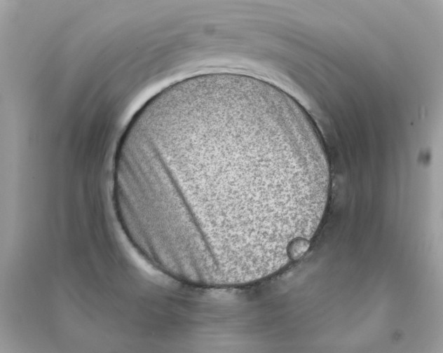X0000090771523200708172057
