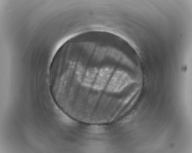 X0000090771527200708172057