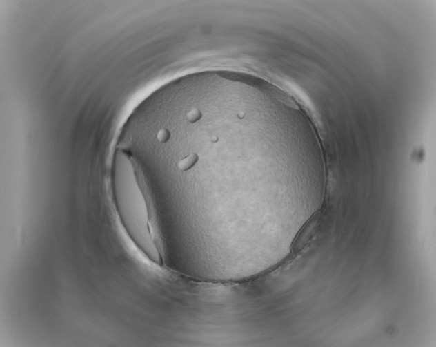 X0000090771528200708172057